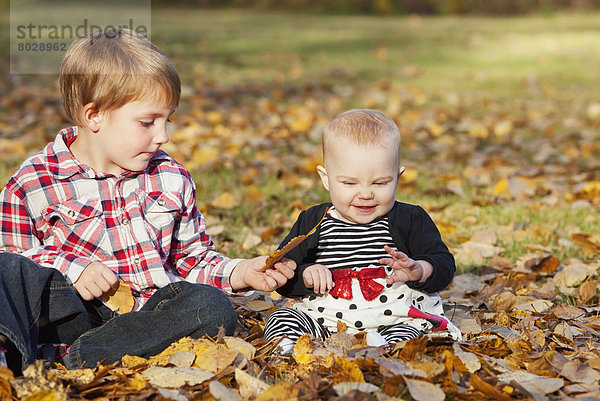 Bruder Herbst Mädchen Baby spielen