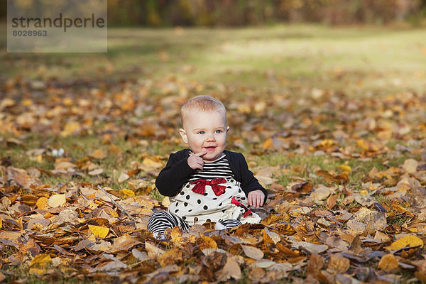 sitzend Portrait Herbst Mädchen Baby