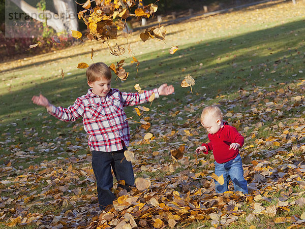 Bruder Schwester Herbst