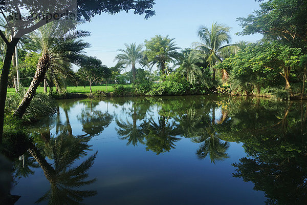 Wasser  Ruhe  Baum  Spiegelung  Bangladesh