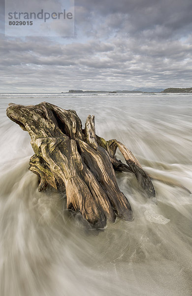 Strand ankommen Gezeiten fließen Insel Tofino British Columbia sinken britisch Kanada Treibholz Stück Vancouver