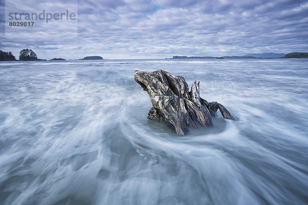 Strand ankommen Gezeiten fließen Insel Tofino British Columbia sinken britisch Kanada Treibholz Stück Vancouver