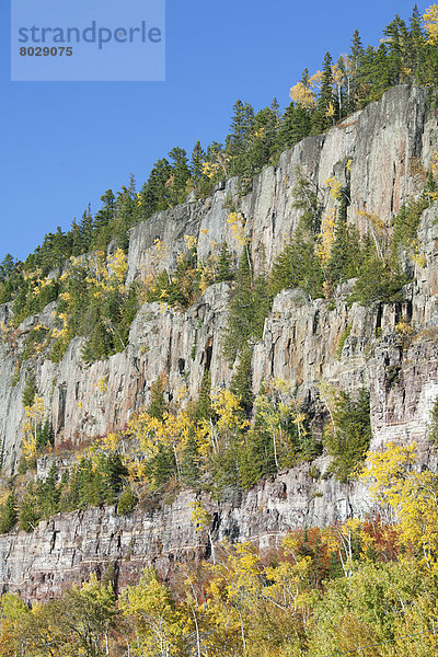 Farbaufnahme  Farbe  Berg  Baum  Steilküste  Wachstum  Herbst  Fenstersims