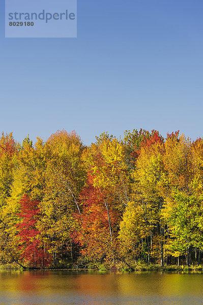 Farbaufnahme  Farbe  Baum  Himmel  See  Spiegelung  Herbst  blau