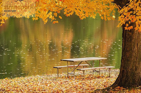 nebeneinander neben Seite an Seite Amerika Picknick Ruhe Baum See Herbst Verbindung Tisch Ohio