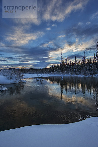 Sunset over mcintyre creek Whitehorse yukon canada