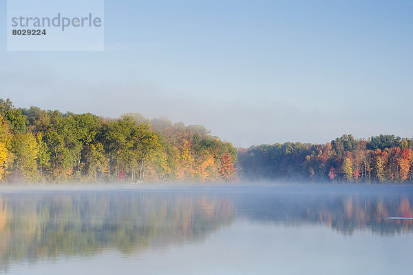 Farbaufnahme  Farbe  Amerika  Küste  Dunst  Wald  See  Herbst  vorwärts  Verbindung  Ohio