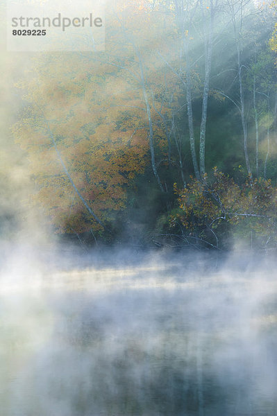 Farbaufnahme  Farbe  Amerika  Baum  Dunst  See  fließen  Herbst  Sonnenlicht  Verbindung  Ohio