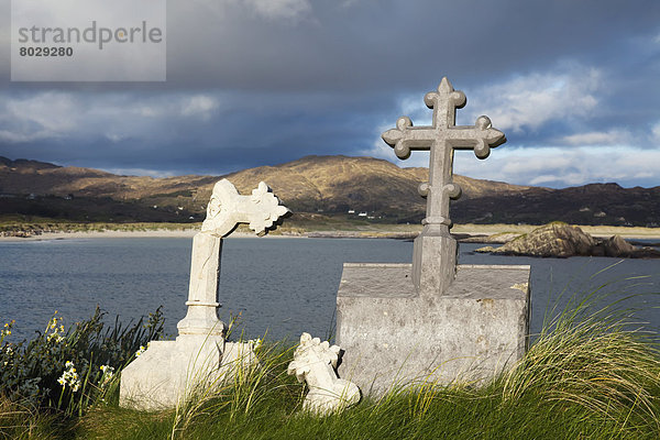 Lamm  Hintergrund  Insel  Friedhof  Abtei