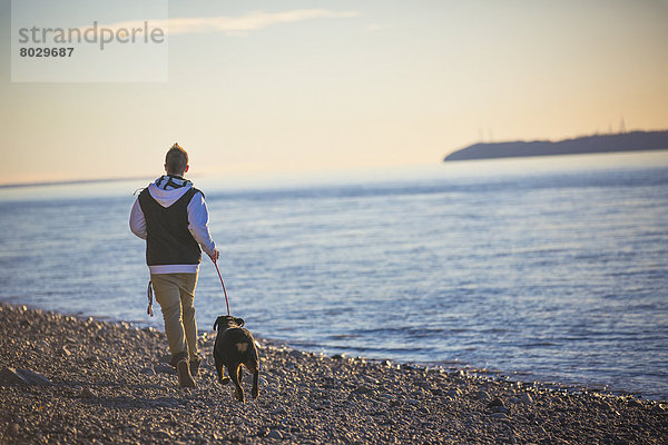 Jugendlicher  Amerika  Strand  Junge - Person  Sonnenuntergang  rennen  Hund  Hintergrund  Insel  Feuer  Koch  Verbindung  zeigen  Rottweiler  Alaska  Anchorage  Meeresarm