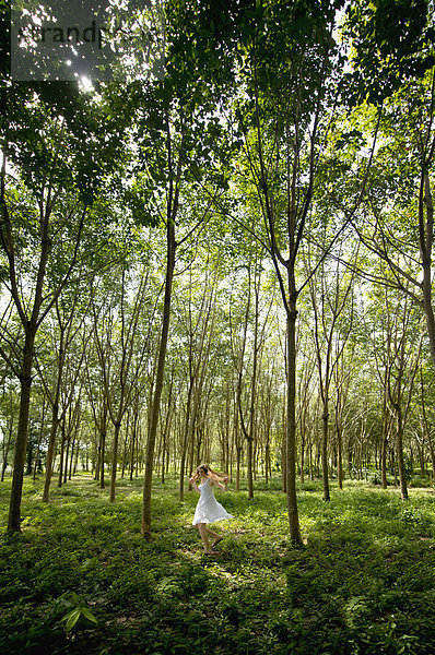 Baum  tanzen  Wald  Phuket  Mädchen  Gummi