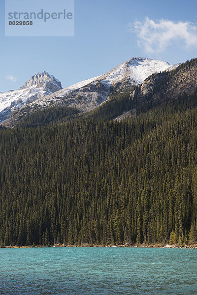 Nationalpark  Berg  Felsen  Wald  See  Banff