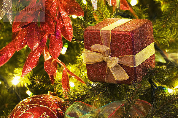 beleuchtet Baum Close-up Weihnachten Dekoration