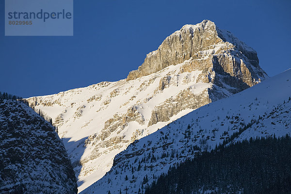 Berg  bedecken  Morgen  Himmel  Berggipfel  Gipfel  Spitze  Spitzen  früh  blau  Sonnenlicht  tief  Schnee