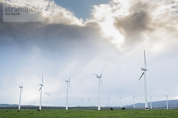 Windturbine Windrad Windräder Andalusien Cadiz Spanien Tarifa