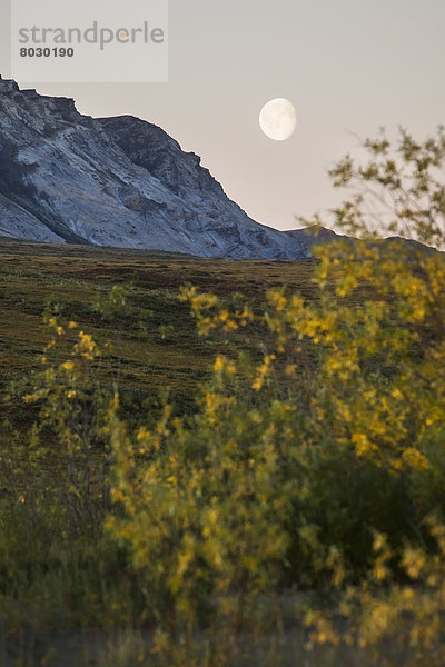 Nationalpark  Himmel  Bach  Eingang  Mond  Alaska  Arktis