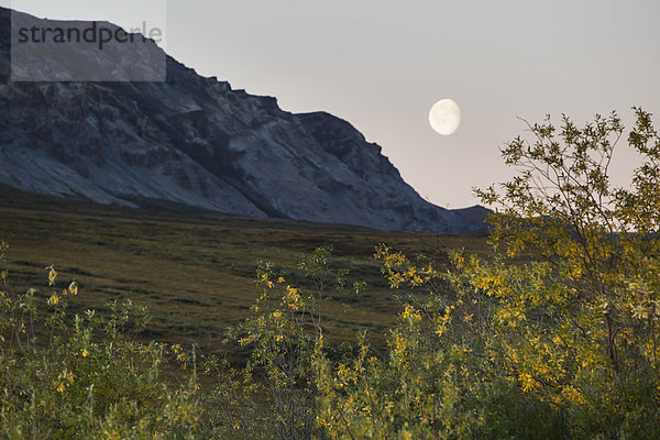 Nationalpark  Himmel  Bach  Eingang  Mond  Alaska  Arktis