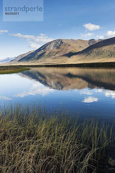 Nationalpark  Fluss  Bach  Eingang  Noatak  Alaska  Alaska  Arktis