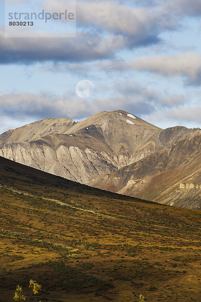 Nationalpark  Bach  Eingang  Alaska  Arktis