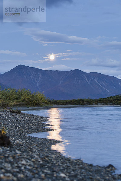 Nationalpark  Fluss  Bach  Spiegelung  Eingang  Noatak  Alaska  Alaska  Arktis  Mondschein