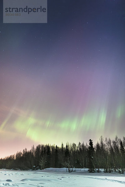 Winter  Amerika  Nacht  folgen  Himmel  über  Küste  Verbindung  Polarlicht  Alaska  Anchorage