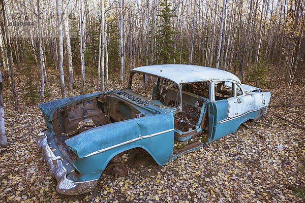 sitzend  Amerika  Auto  Wald  Herbst  Verbindung  Ruine  Alaska  alt