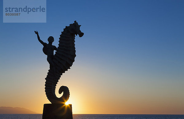 Seepferdchen hippocampus taeniopterus Skulptur Sonnenuntergang Malecon