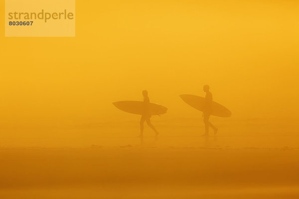 Nationalpark Kitesurfer Strand Nebel lang langes langer lange Pazifischer Ozean Pazifik Stiller Ozean Großer Ozean