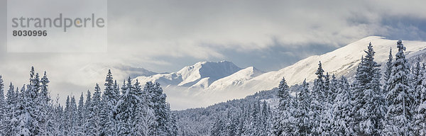 Vereinigte Staaten von Amerika  USA  Berg  Winter  Wolke  über  Sturm  Turnagain Arm  Kenai-Fjords-Nationalpark  Chugach National Forest  Schnee