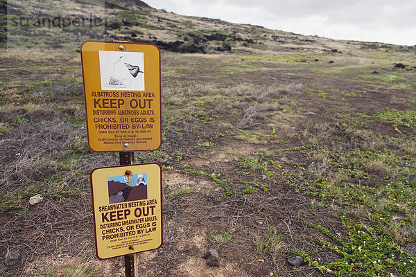 Siedlung  Mensch  Amerika  Menschen  Zeichen  Warnung  Verbindung  nähern  Albatros  Hawaii  Honolulu  Oahu  Signal
