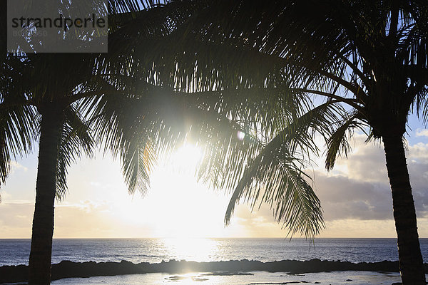 Wasser  Amerika  Ecke  Ecken  Baum  Spiegelung  Sonnenlicht  2  Verbindung  Hawaii  Honolulu