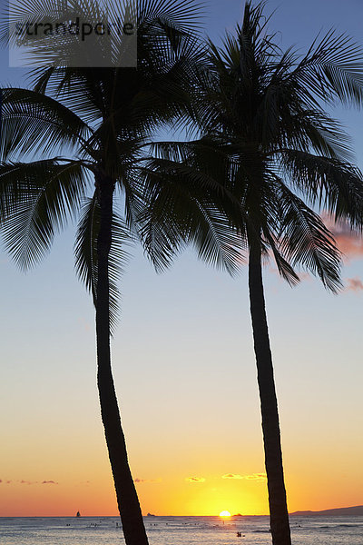 Amerika  Tischset  Baum  Silhouette  über  Ozean  Pazifischer Ozean  Pazifik  Stiller Ozean  Großer Ozean  Verbindung  Hawaii  Oahu  Sonne