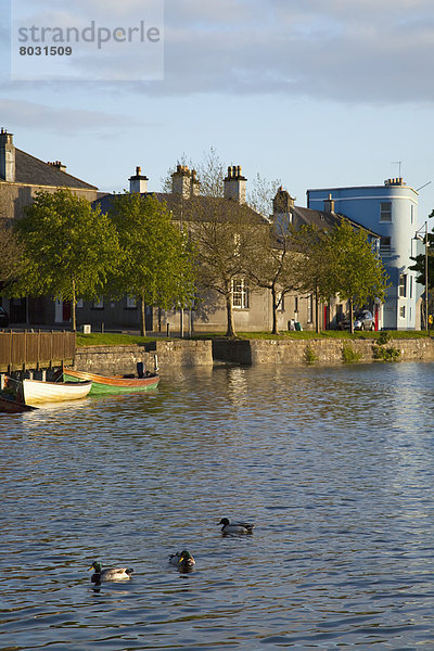 River corrib Galway city county galway ireland