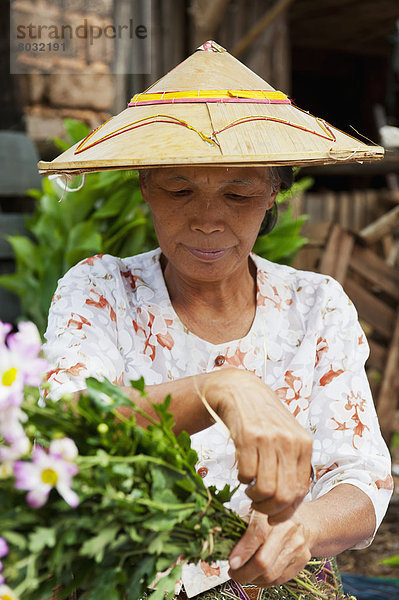 Blume  verkaufen  Myanmar  Markt  Shan Staat