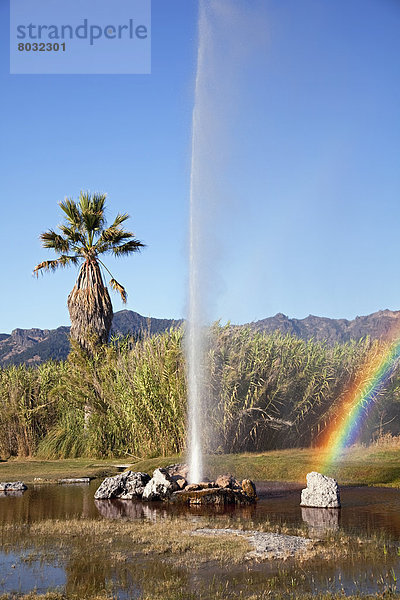Geysir  Ansicht  Religion  Kalifornien  alt  Regenbogen