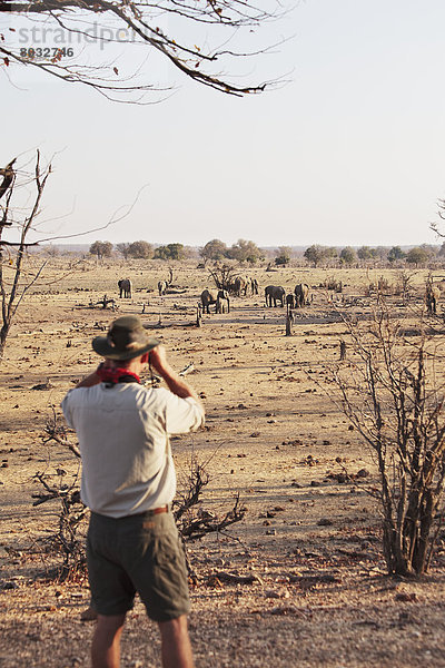 Wasser  Mann  sehen  Loch  Elefant  Afrika  Zimbabwe