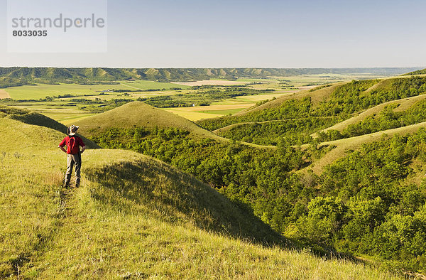 über  Hügel  wandern  Erosion  Saskatchewan  Kanada