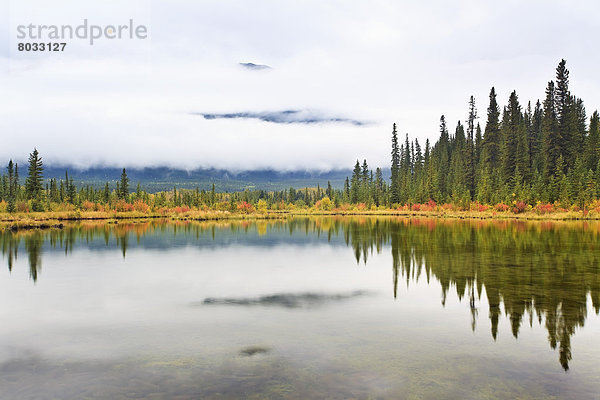 Farbaufnahme  Farbe  Spiegelung  See  Banff Nationalpark  Alberta  Kanada