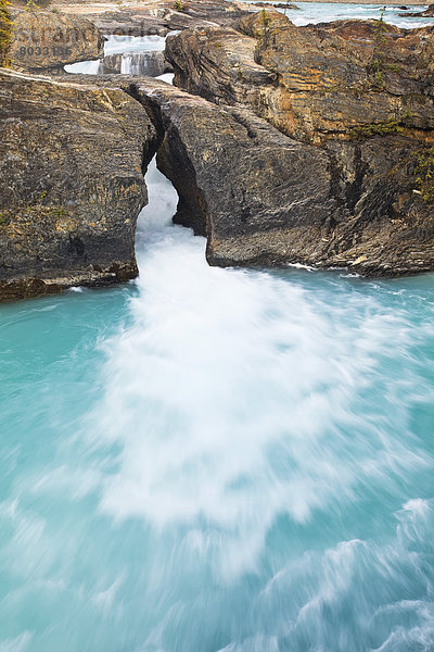 Landschaft  treten  Brücke  Fluss  Yoho Nationalpark  British Columbia  Kanada