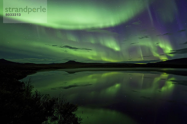 über  See  Bundesstraße  2  Elch  Alces alces  Polarlicht  Aurora