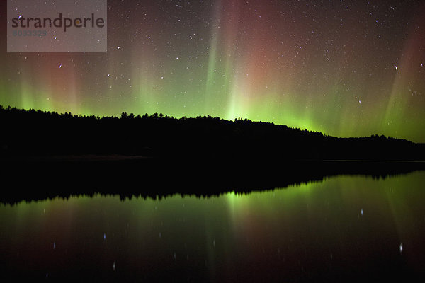 Polarlicht  Algonquin Provincial Park  Aurora