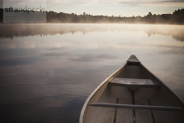 Morgen See Nebel Kanu Ente Ontario