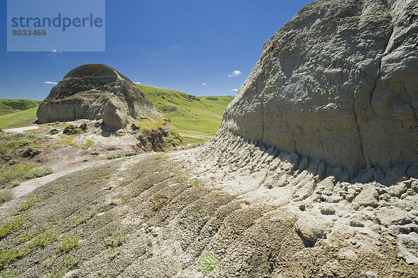 Osten  Steppe  Wiese