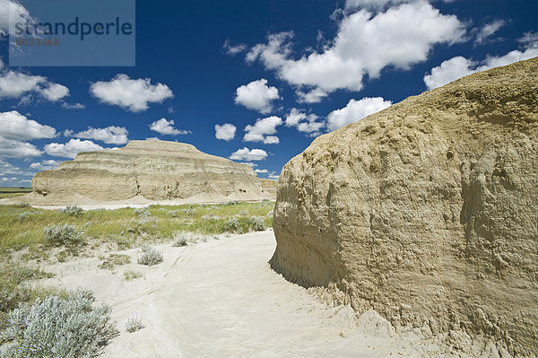 Osten  Steppe  Wiese