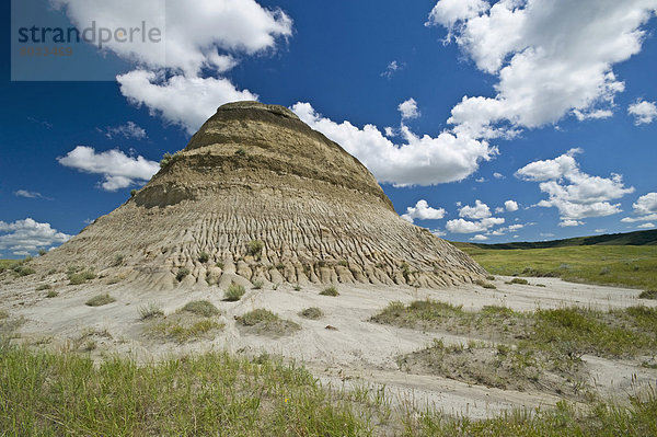 Osten  Steppe  Wiese