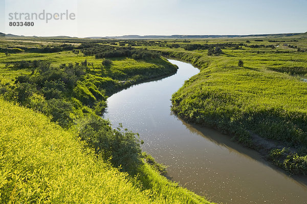 Fluss  Wiese  Westen