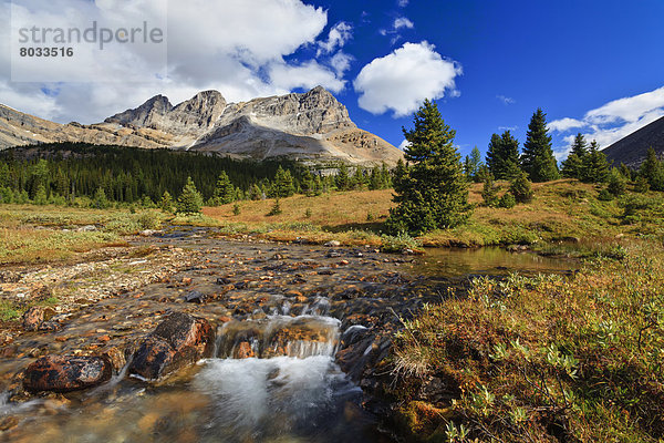 klein  See  Landschaftlich schön  landschaftlich reizvoll  fließen  Bäcker  Banff