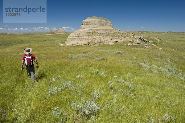 Osten  wandern  Steppe  Wiese