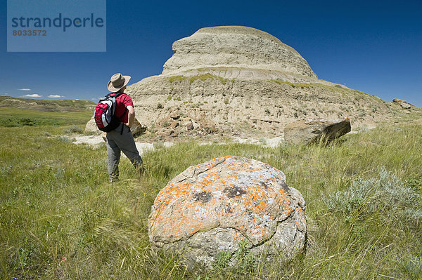 Osten  wandern  Steppe  Wiese