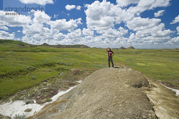 Osten  wandern  Steppe  Wiese